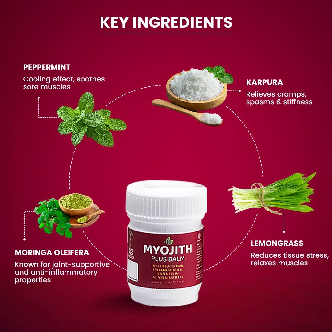 Myojith Plus Balm, Best Ayurvedic Balm For Joint And Muscle Pain Relief