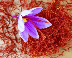 Punarjith herbal hair oil