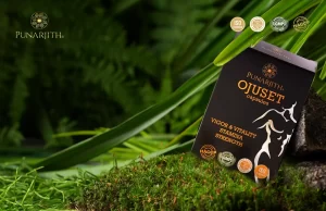 shilajith uses in ayurveda, ayurvedic benefits of shilajith