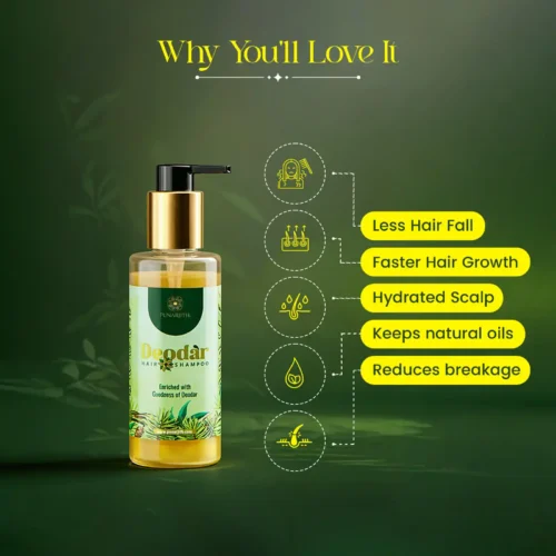 Deodar Hair Shampoo - Hair Growth & Scalp Health Naturally