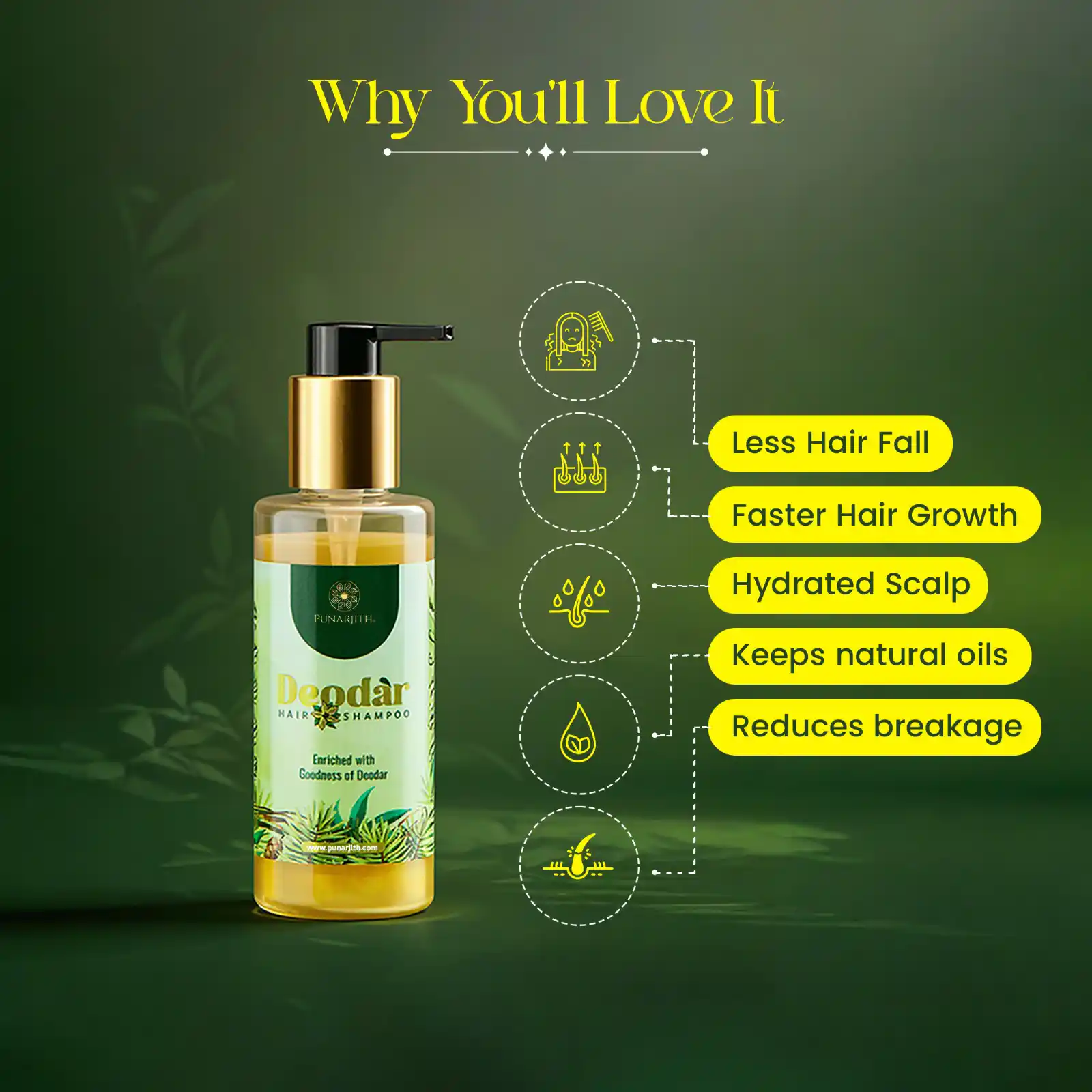 Deodar Hair Shampoo - Hair Growth & Scalp Health Naturally