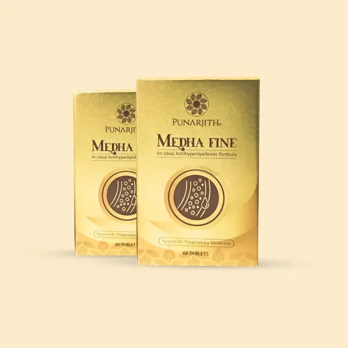 Medhafine ayurvedic tablet for cholesterol