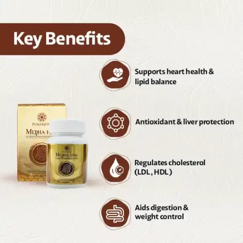 Medhafine ayurvedic tablet for cholesterol