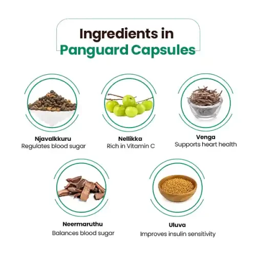Panguard Capsules ingredients
