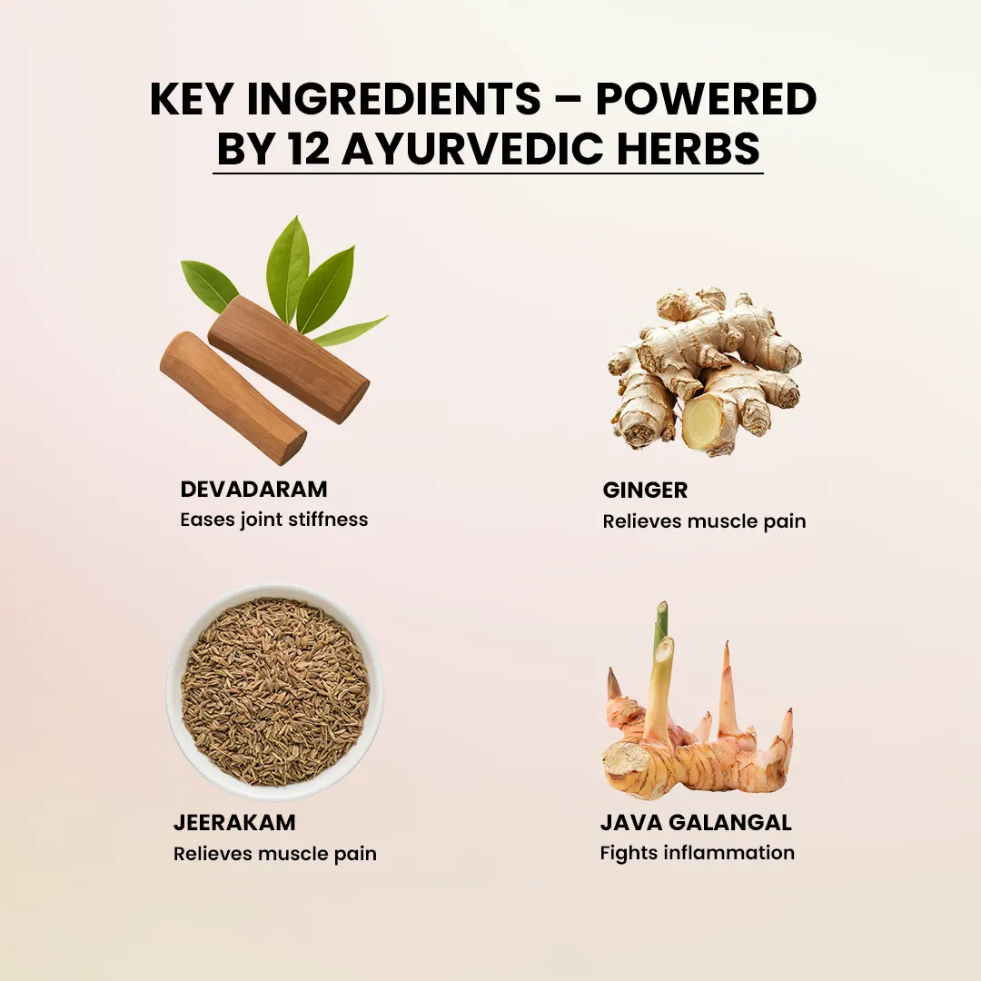 Ayurvedic Joint Pain Relief Oil Myojith Liniment image 3 Ingrediants