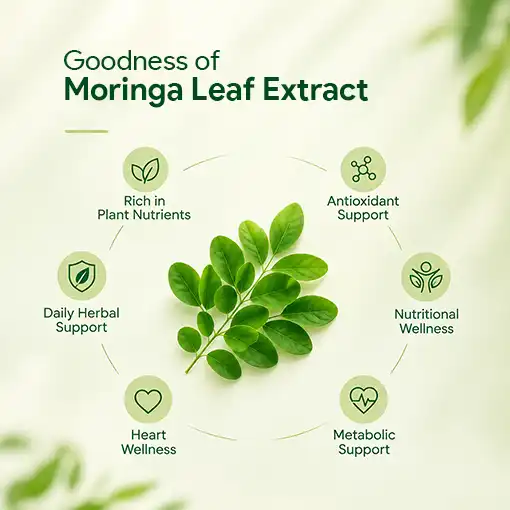 Moringa Capsule – Ayurvedic Support for Cholesterol & Weight Management